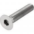 Винт нерж. сталь DIN 7991