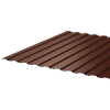 Профнастил С8 полимер. (Steelmatt) (RALRR32) темно-коричневый